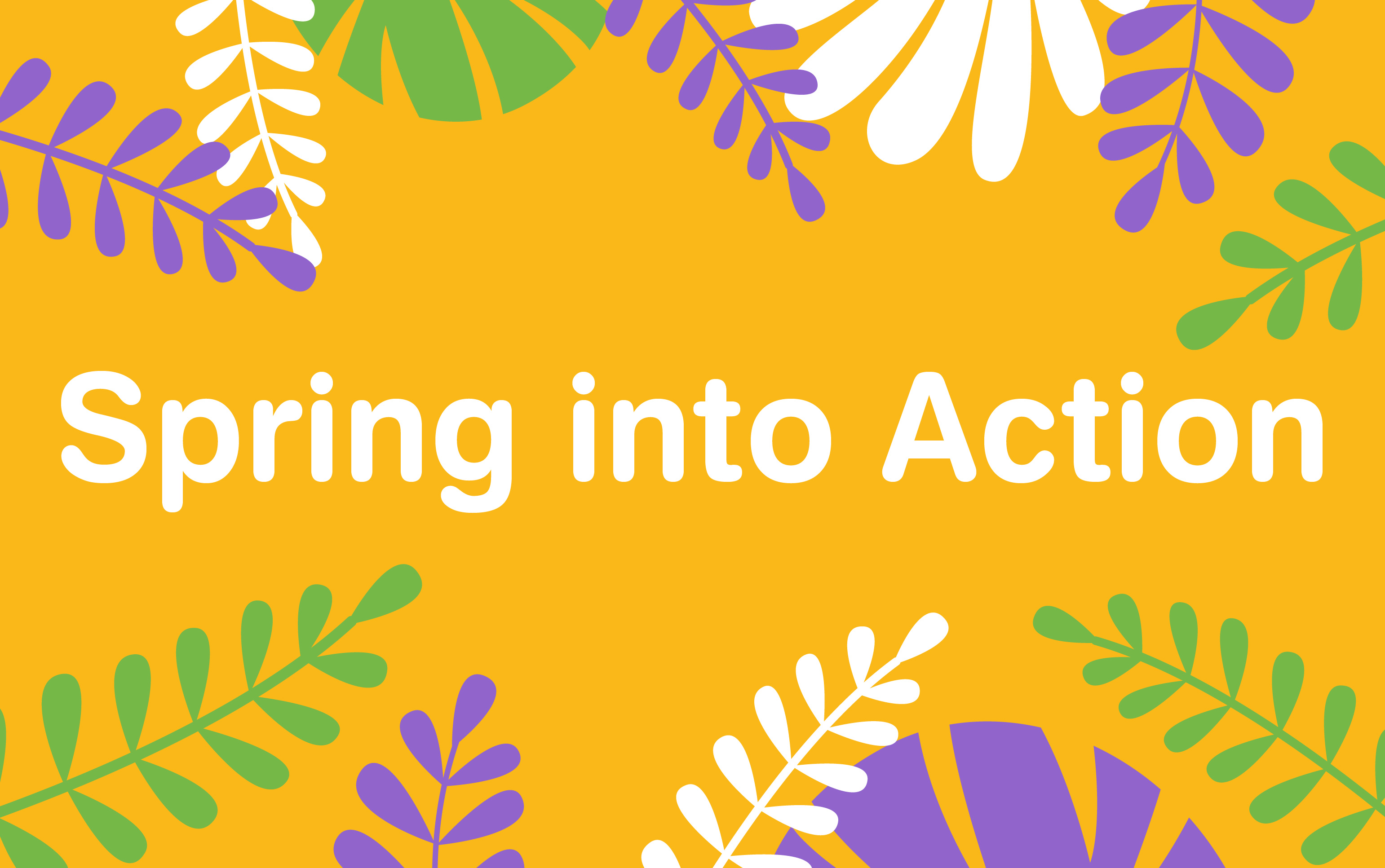 MJ Spring 2025 Website Carousel 740X464